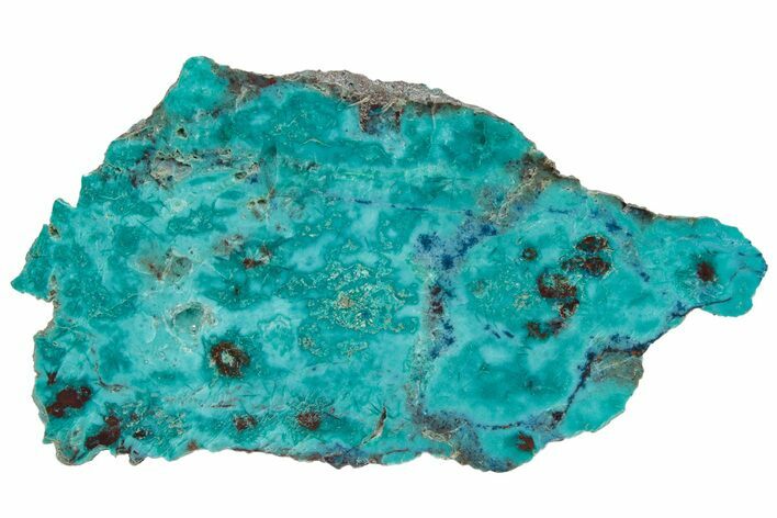 Colorful Chrysocolla and Shattuckite Slab - Mexico #227893